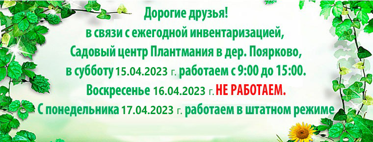 Плантмания Интернет Магазин Каталог 2023 Весна