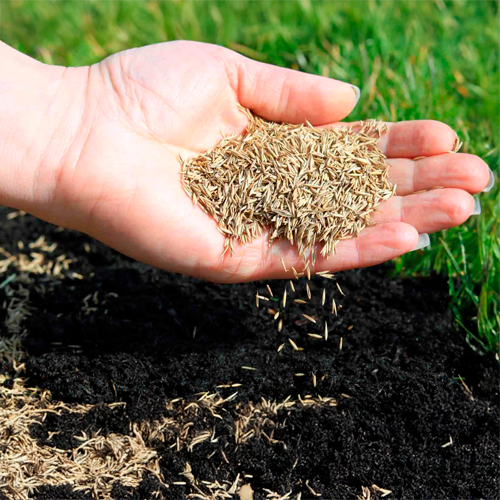 Газонные смеси