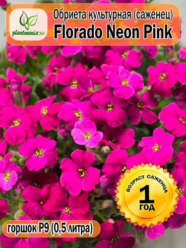 Обриета Florado Neon Pink (Флорадо Неон Пинк) P9