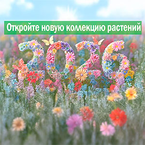 Plantmania открывает предзаказы на 2026 год!