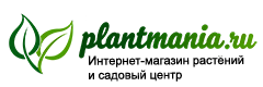 Plantmania
